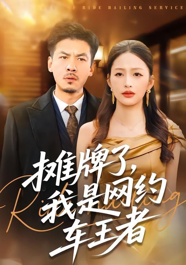攤牌了，我是網約車王者(全集)