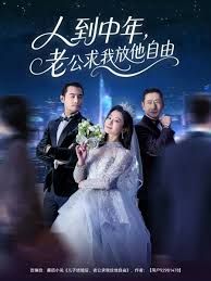 人到中年，老公求我放他自由(全集)