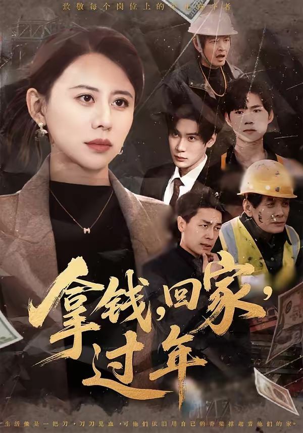 拿錢(qián)，回家，過(guò)年(全集)