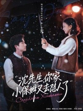 沈先生,你家小保姆又去懟人了(全集)