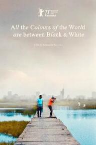 黑白之間是彩色世界