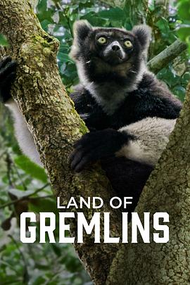 精靈樂園第一季(全集)